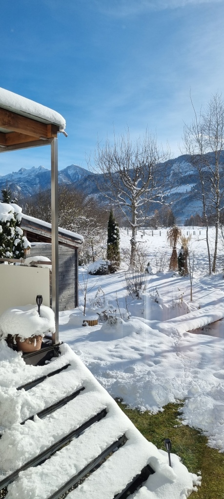 uitzicht uit ons kamerraam, de tuin bedekt met sneeuw